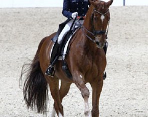 Adelinde Cornelissen and Parzival at the 2014 CDI-W Lyon :: Photo © PSV