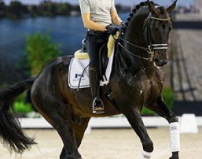 Marlies van Baalen and Painted Brown are entered to compete at the 2015 CDI Drachten :: Photo © Digishots.nl