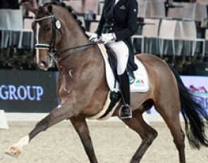 Jorinde Verwimp and Tiano at the 2014 CDI Mechelen :: Photo © Lena Lottsfeldt