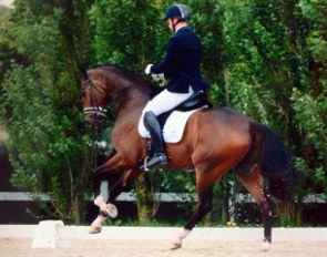 Rob van Puijenbroek on the Oldenburg bred Seymour (by San Amour)