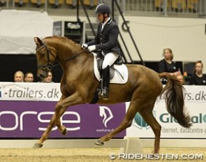 Severo Jurado Lopez and Fiontina at the 2014 Danish Young Horse Championships in Odense :: Photo © Ridehesten