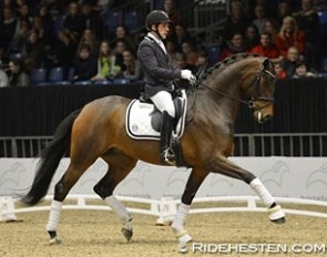 Severo Jurado Lopez and Fiontini (by  Fassbinder x Romanov) at the 2014 Danish Young Horse Championships :: Photo © Ridehesten