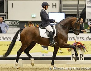 Severo Jurado Lopez and Zgander at the 2014 Danish Young Horse Championships :: Photo © Ridehesten
