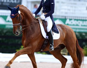 Heather Blitz and Paragon at the 2014 Palm Beach Dressage Derby :: Photo © Astrid Appels