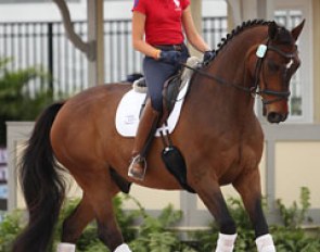 Kaitlin Blythe on the American bred Hanoverian Daverden (by Davignport x Garibaldi I)