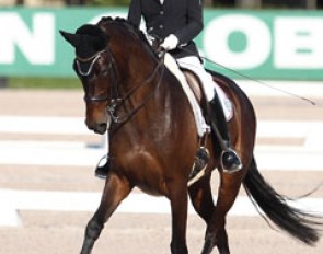 Christilot Boylen competing Hudson at the 2014 CDN Wellington in Florida :: Photo © Astrid Appels