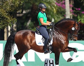 Wellington based Alison Brock on Claudine Kundrun's PRE bred Grand Prix horse Os Nervi, which was previously competed internationally by Luis Lucio :: Photo © Astrid Appels