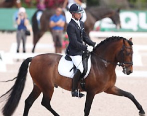 Nicholas Fyffe and the U.S. bred PRE Fiero HGF at the 2014 CDN Wellington :: Photo © Astrid Appels