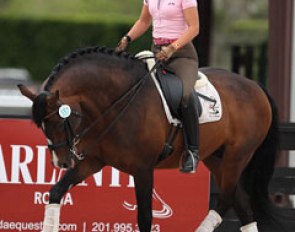 Kim Jesse schooling Charming (by Champus) after the jog