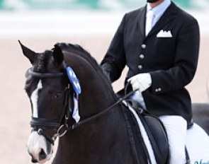 Chris Hickey and Doctor Wendell MF at the 2014 Palm Beach Dressage Derby :: Photo © Astrid Appels