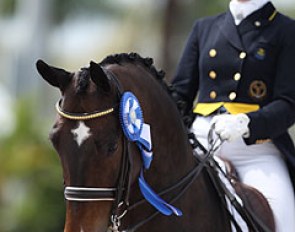 Tinne Vilhelmson and Don Auriello win the 2014 Palm Beach Derby Grand Prix :: Photo © Astrid Appels