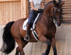 Jessica Michel on Riwera de Hus