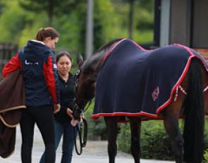 Adrienne and groom Taylor Yamamoto with Wizard