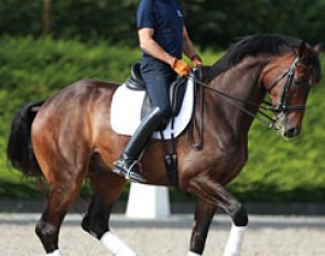 Steffen Peters and Legolas