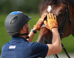 Steffen Peters and Legolas