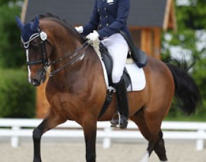 Simone Pearce on Little Lion