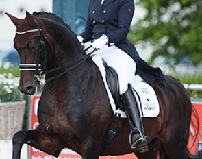 Anne van Olst and Chippendale at the 2014 CDI Roosendaal :: Photo © Astrid Appels