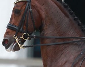 Is it possible to judge if a horse is a happy athlete?