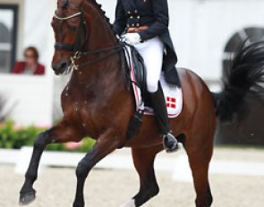 Danish Maria Anita Andersen tried to get the most out of her grumpy Oldenburg mare Loxana (by Diamond Hit) who had a sour expression in the traversal movements, pirouettes and one tempi, even though the quality is certainly there