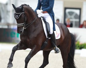 Edward Gal and Undercover at the 2014 CDIO Rotterdam in June :: Photo © Astrid Appels