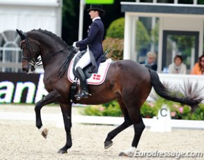 Mikala Gundersen and My Lady spearheaded the Danish team in Rotterdam with her  71.800% and 6th place