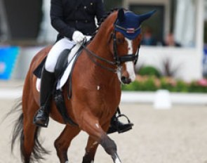 American euro-rookie Brian Hafner surprised all by becoming the U.S. team's anchor in Rotterdam. He presented Lombardo in a very pretty, soft silhouette even though the tongue came out in the final extended trot.