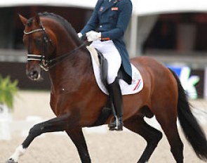 Hans Peter Minderhoud and Johnson at the 2014 CDIO Rotterdam :: Photo © Astrid Appels