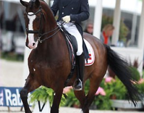 Danish Ulrik Molgaard on Michigan. This dark bay Danish gelding was one of three Michellino offspring competing in the CDIO Grand Prix