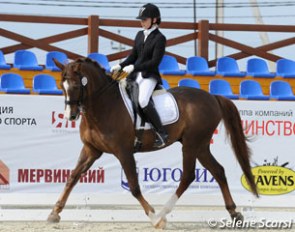 The 21-year old Dombai was the oldest horse competing in Ryazan, but he appeared well-muscled and really loose and supple for his age.