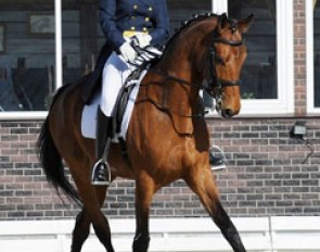 Tatiana Stepchenkova on Tsaria