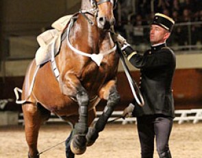 Vincent Poittier and his sauteur