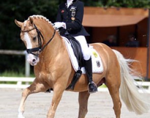 Semmieke Rothenberger on Deinhard B