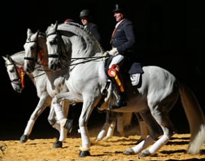 Spain's PRE dressage heroes at SICAB