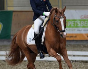 Celine König and Daddy's Daydream at the 2014 CDI Stadl Paura :: Photo © Rainer Dill
