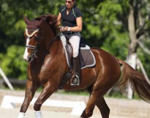 Christilot Boylen schooling Drentano at Stillpoint Farm in Wellington in 2014 :: Photo © Astrid Appels