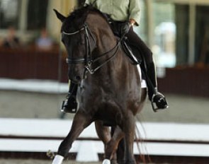 Shelly Francis on Pat Stempel's Danilo