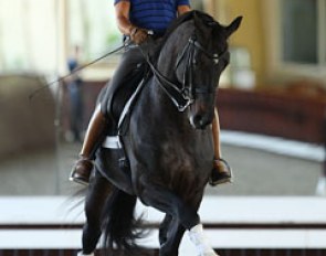 David Marcus on the Danish warmblood Chrevi's Capital
