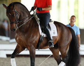 Leslie Morse on King's Excalibur