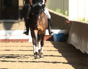 Oded Shimoni beginning his ride in the morning light in the indoor arena