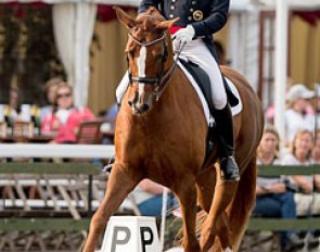 Michael Eilberg and Woodlander Farouche at the 2014 British Dressage Championships :: Photo © Jon Stroud