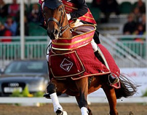 Michael Eilberg and Marakov in their lap of honour