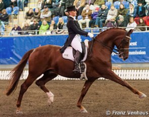 Katharine Farrell and Luxor at the CDI Sydney :: Photo © Franz Venhaus