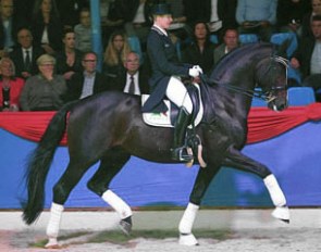 Bernadette Brune and Spirit of the Age OLD at the 2014 Oldenburg Stallion Gala Show :: Photo © Diele