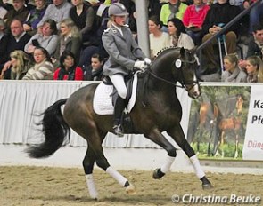 Furstenhof (by Furst Grandios x Weltmeyer x Alonso)