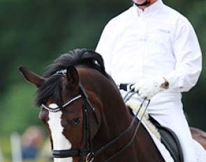 Hubertus Schmidt schooling Hedelunds Mefisto