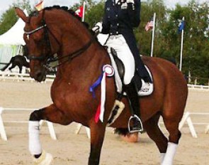 Jessica Michel and Riwera de Hus win the Grand Prix at the 2014 CDI Vierzon