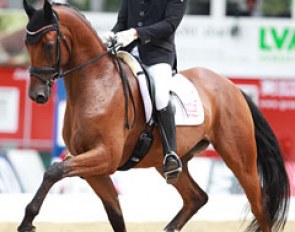 Danish Jan Moller Christensen on Rossetti (by Romanov x Midt West Ibi Light)
