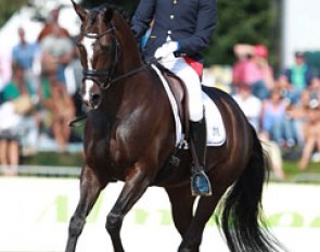 Belgian Tom Franckx on the Dutch bred Dolores van de Kwikaard (by Zucchero x Royal Diamond).