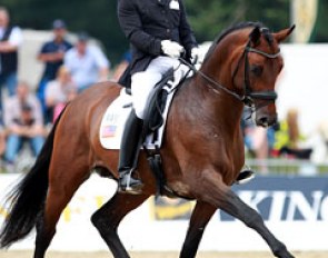 American Matt Johnson on the Danish bred Petersborg Qasanova (by Quaterback x Calypso II). The horse is very talented but clawed in the halt and the simple change was not properly executed. Matt is set to improve his act in the consolation final