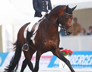 Ingrid Klimke and Franziskus showing proper bending the half pass at the 2014 World Young Horse Championships :: Photo © Astrid Appels